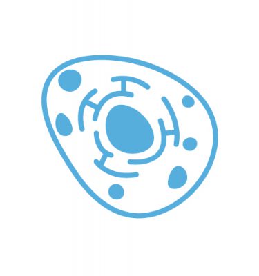 Biology - Science Core