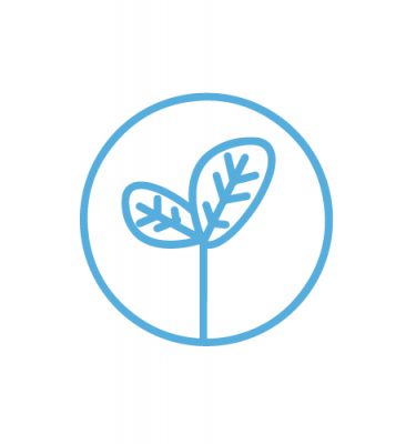 Botany - Science Elective